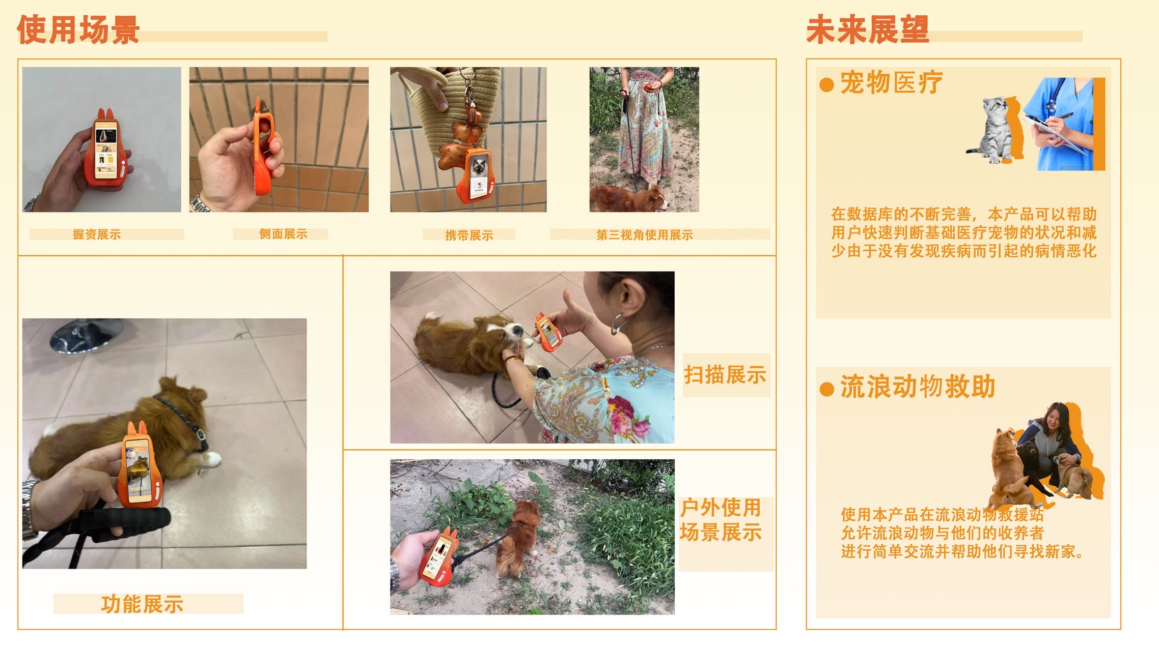 Pet Home——2025新西兰最佳设计师优秀作品