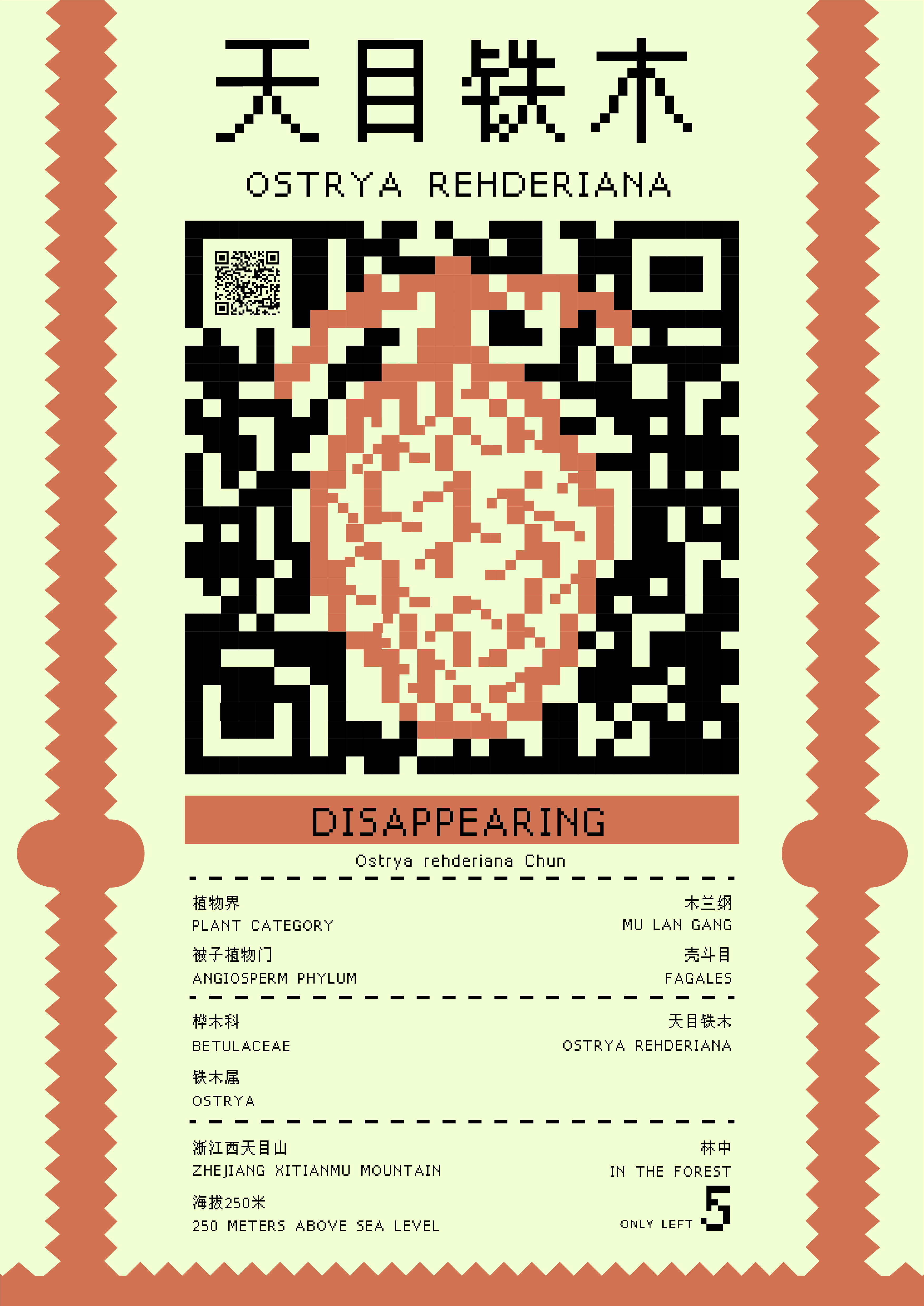 Disappearing——2025新西兰最佳设计师优秀作品