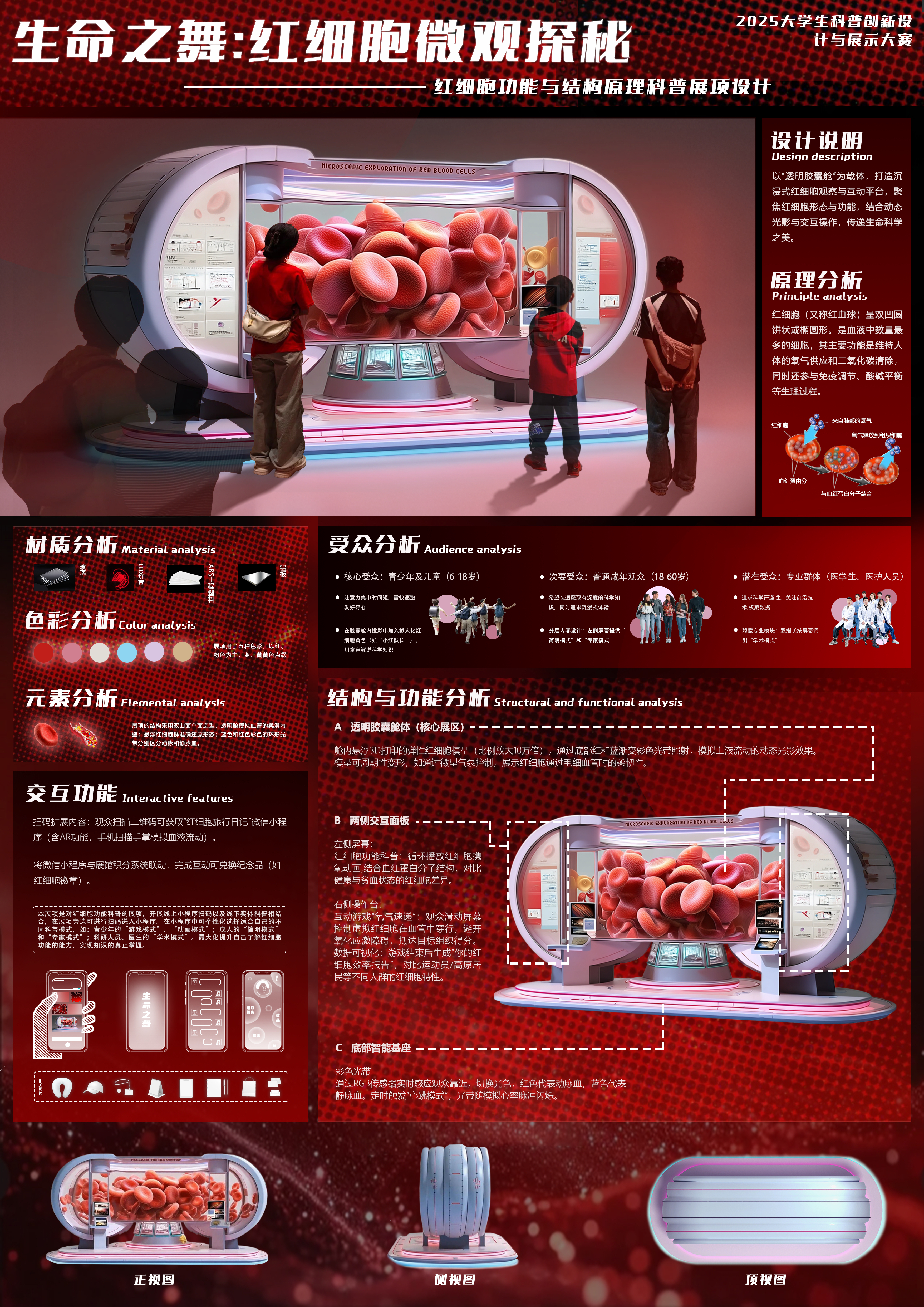 生命之舞：红细胞微观探秘——2025新西兰最佳设计师优秀作品