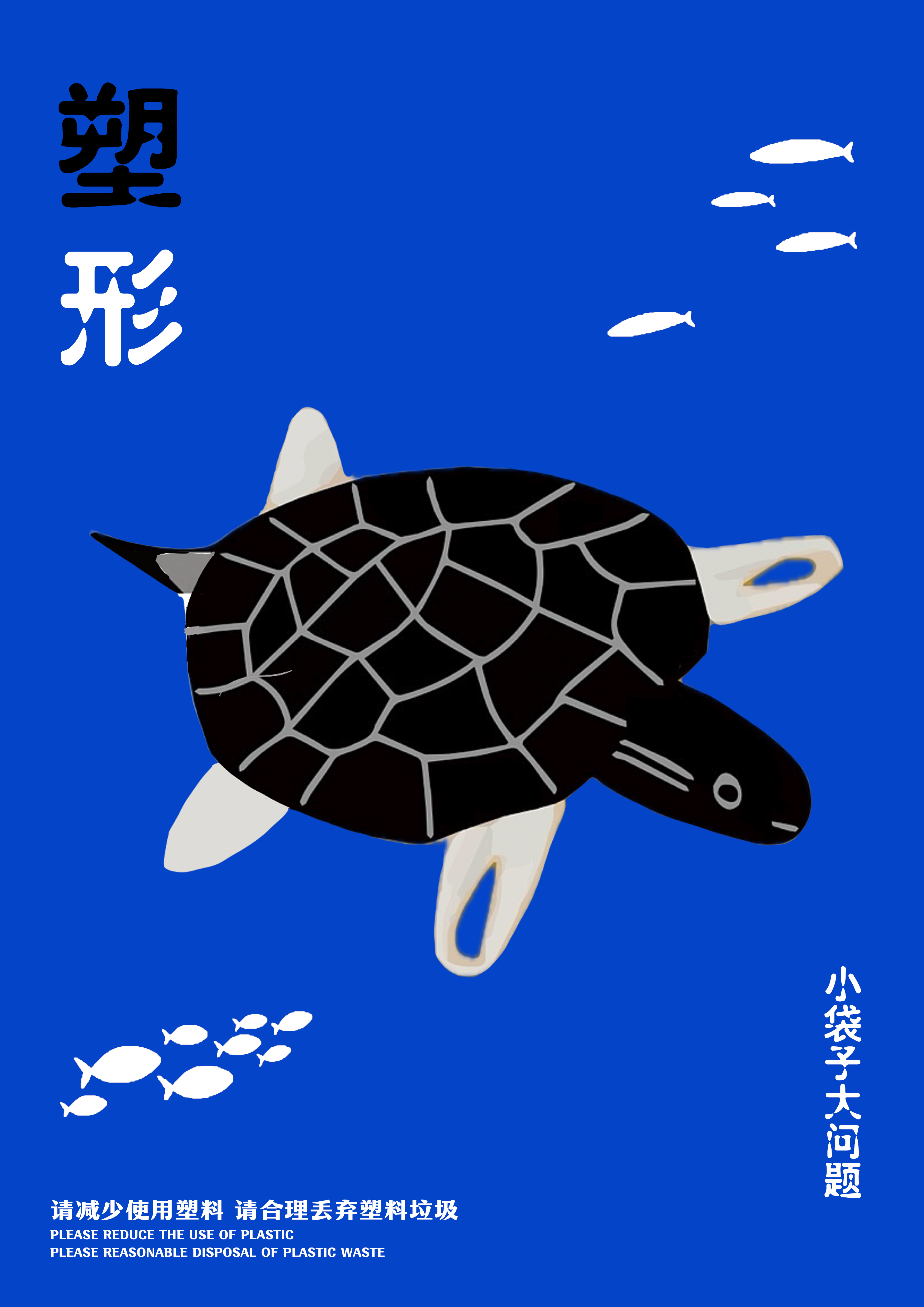 塑形——2025新西兰最佳设计师优秀作品
