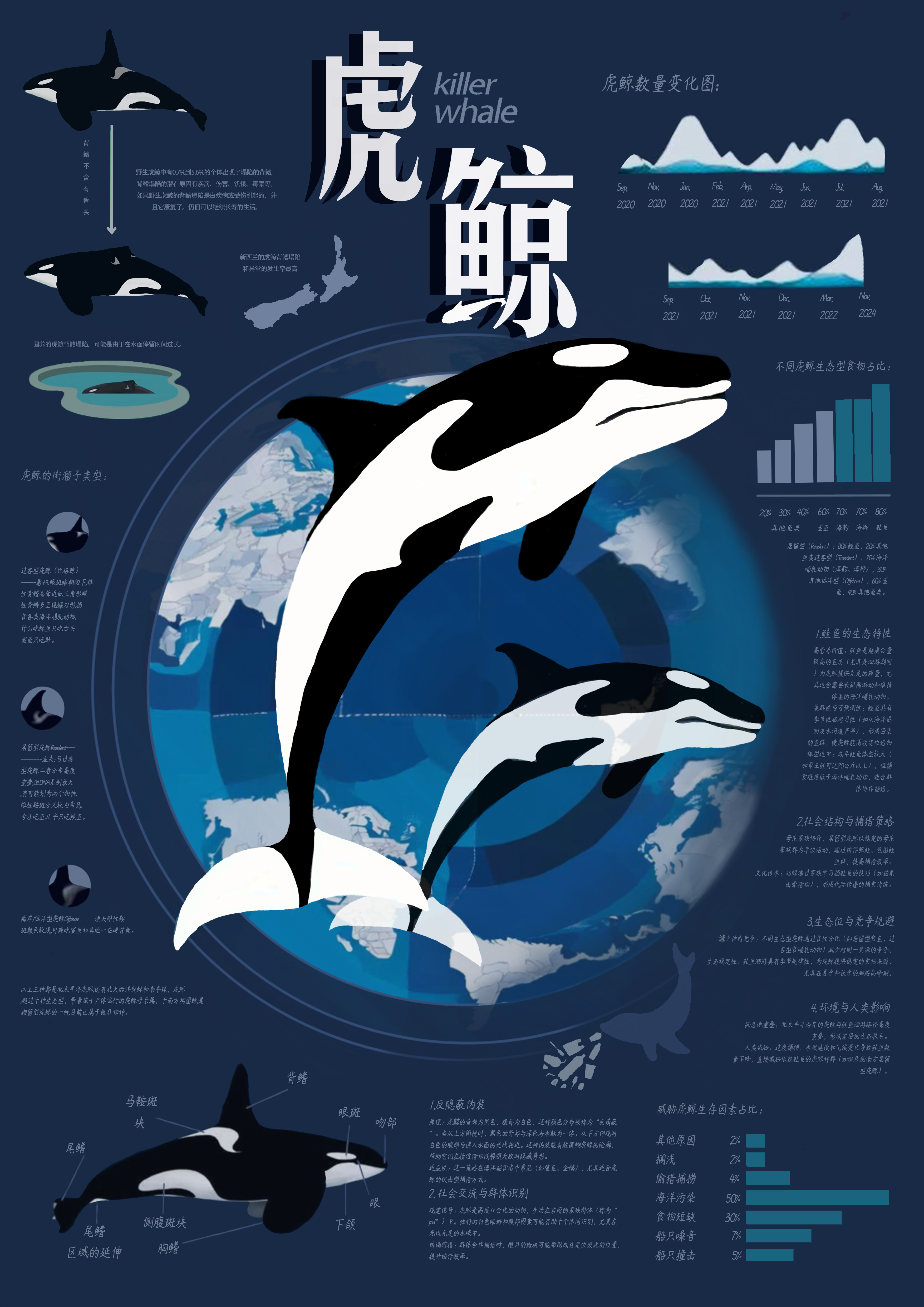 Whale’s Tale——2025新西兰最佳设计师优秀作品