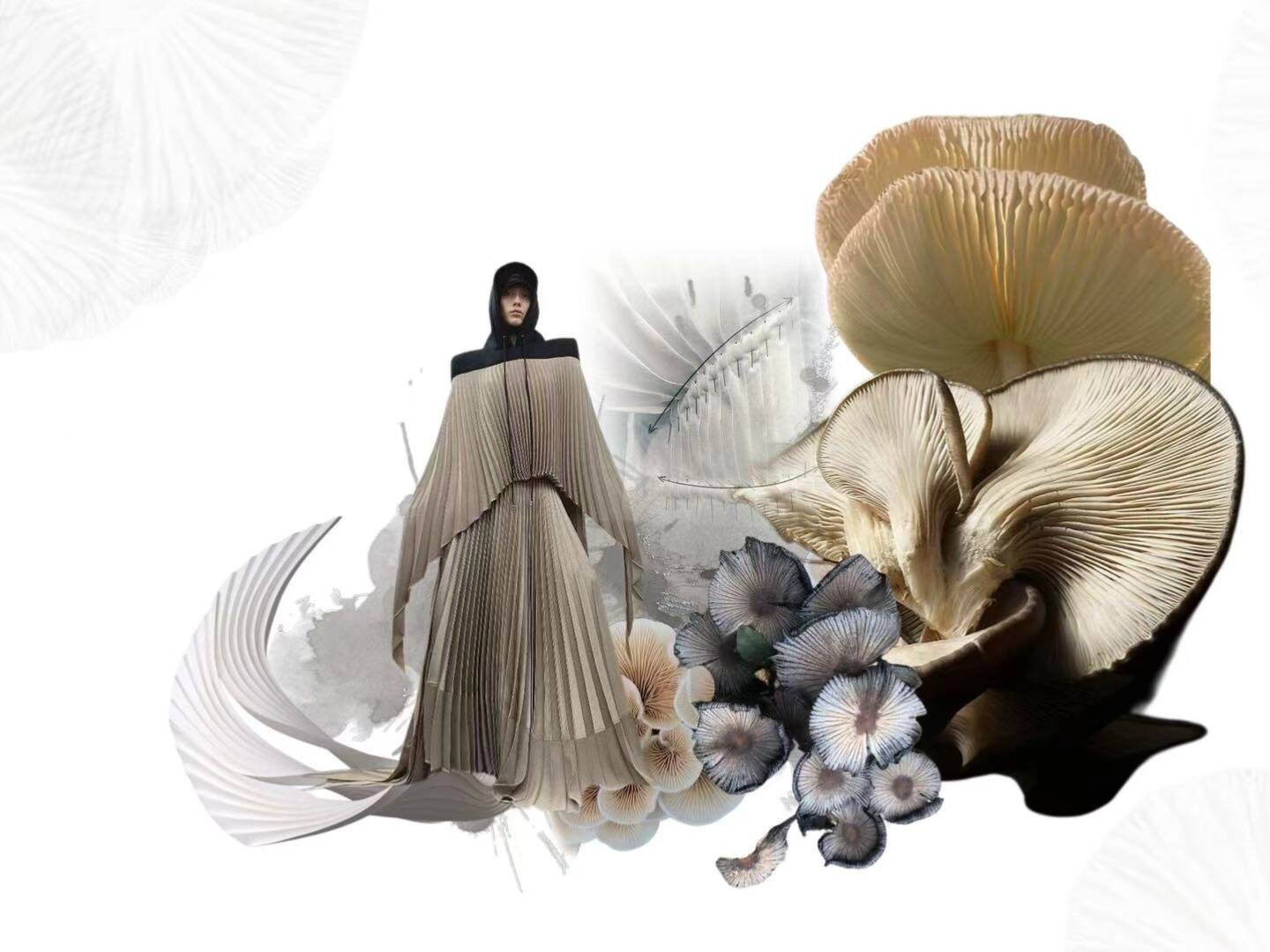 《菌迹》——首届当代艺术设计作品大赛优秀作品