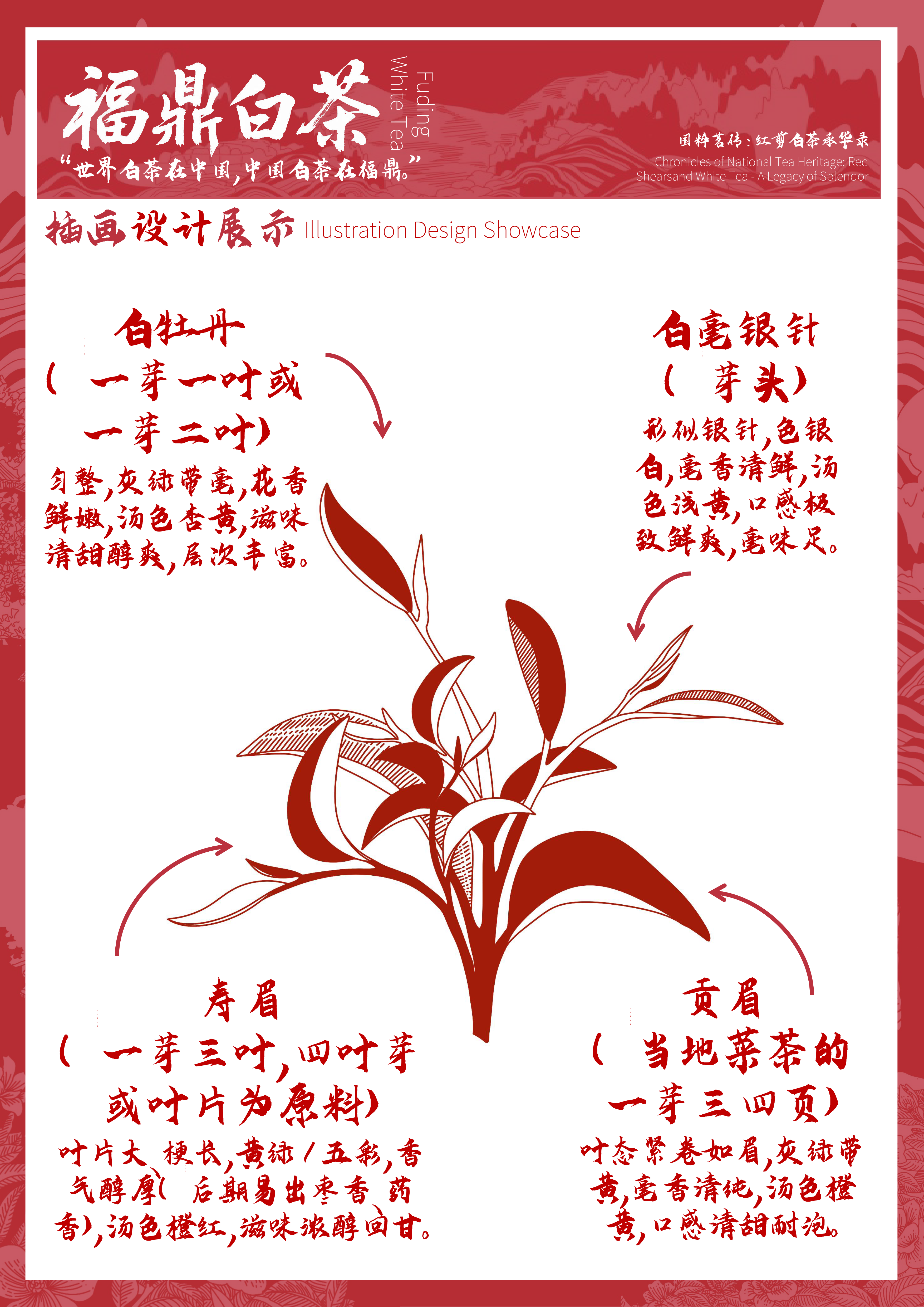 国粹茗传：红剪白茶承华录—2025国文奖-两岸青年非遗文创大赛
