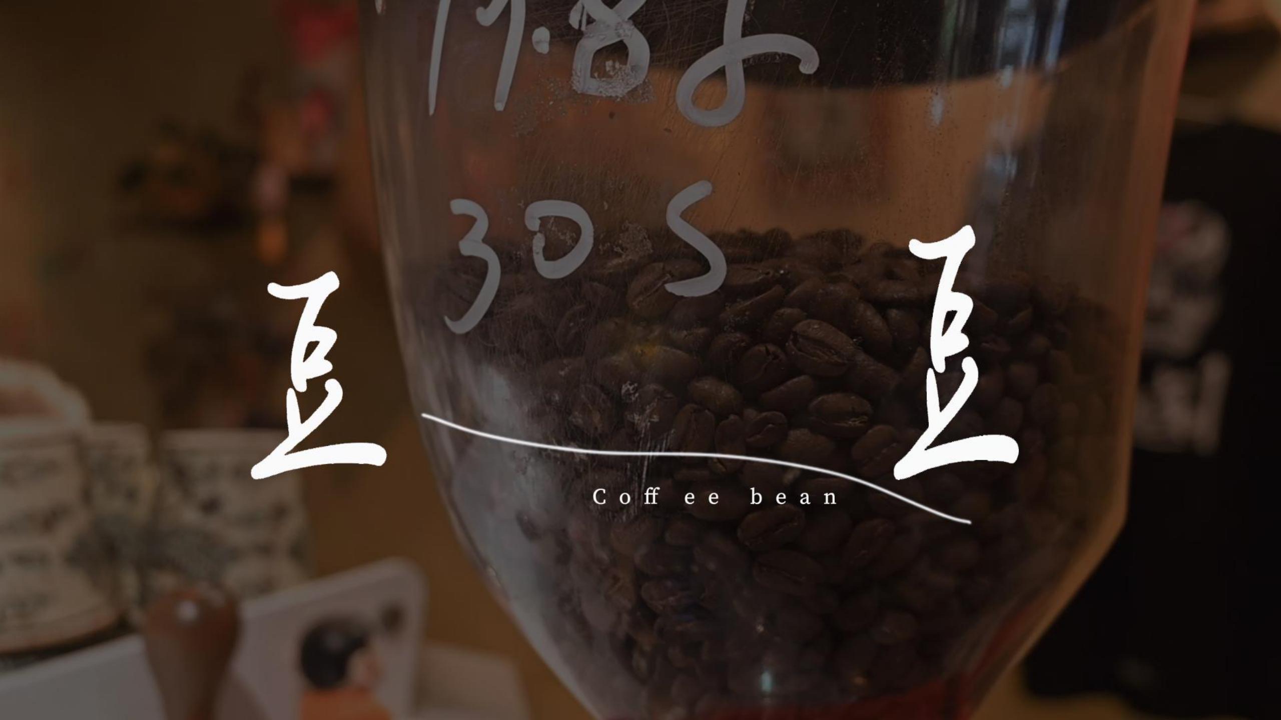 豆豆——2025两岸数字艺术设计·年度奖优秀作品展-两岸国际艺术设计·年度奖·两岸数字艺术设计大赛
